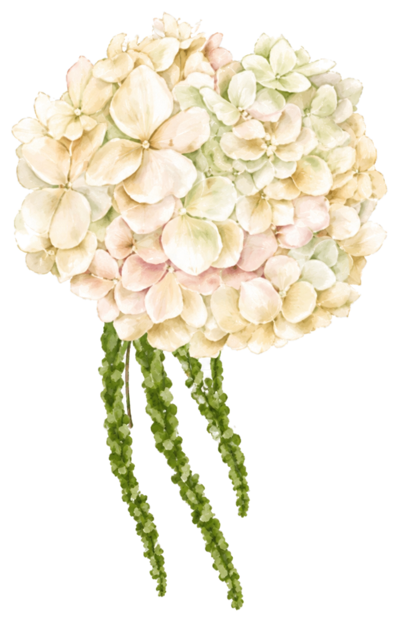 Bunga hydrangea